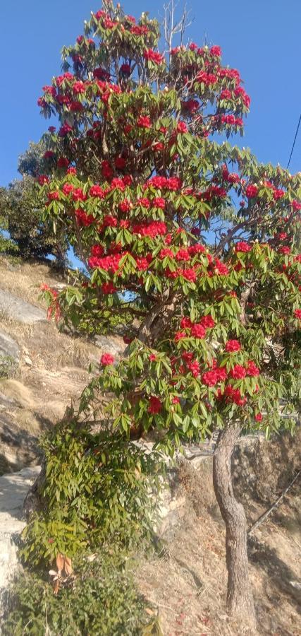 Chandarshila Hike Homestay Ukhimath Esterno foto