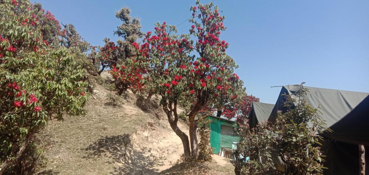 Chandarshila Hike Homestay Ukhimath Esterno foto